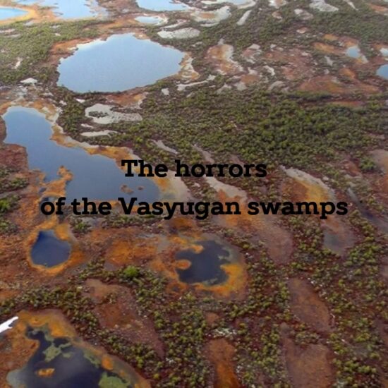 The script for the horror film "The Horrors of the Vasyugan Swamps"