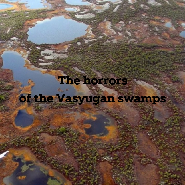 The script for the horror film "The Horrors of the Vasyugan Swamps"