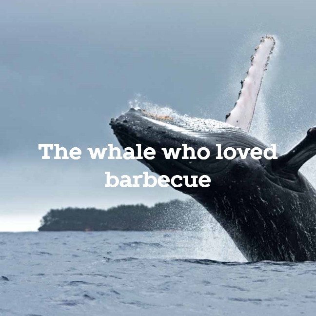 The whale who loved barbecue